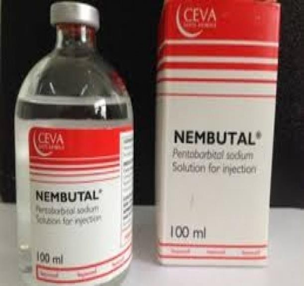suicide project with Nembutal Pentobarbital Sodium