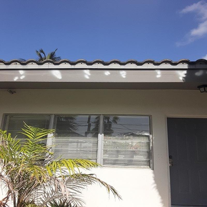 Luis Linares Painting with 20 Years experience