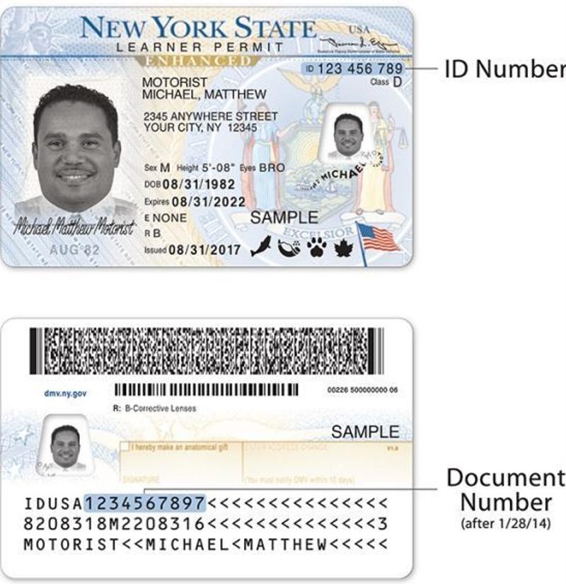 Getting a Driver’s License is now Easier than ever