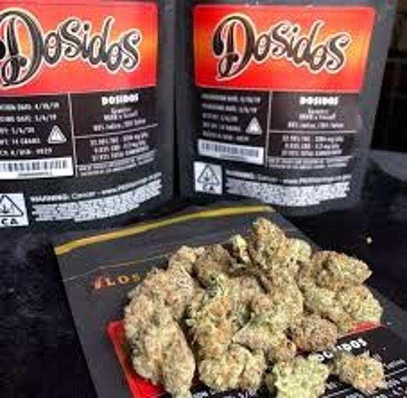 Buy Jungle Boys Weed Online jungleboysweedofficial.com