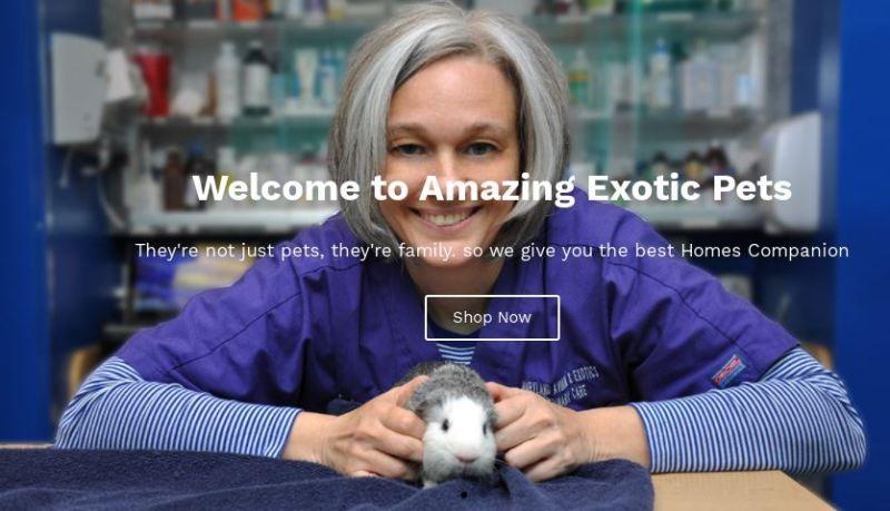 Welcome to Amazing Exotic Pets