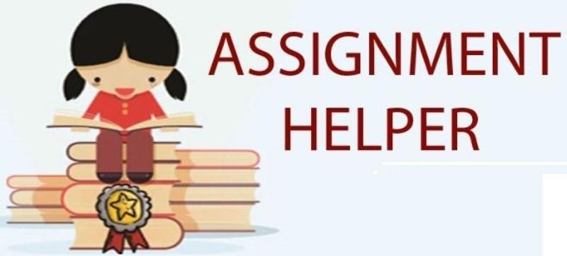 Ace my homework: Get Assignment Help