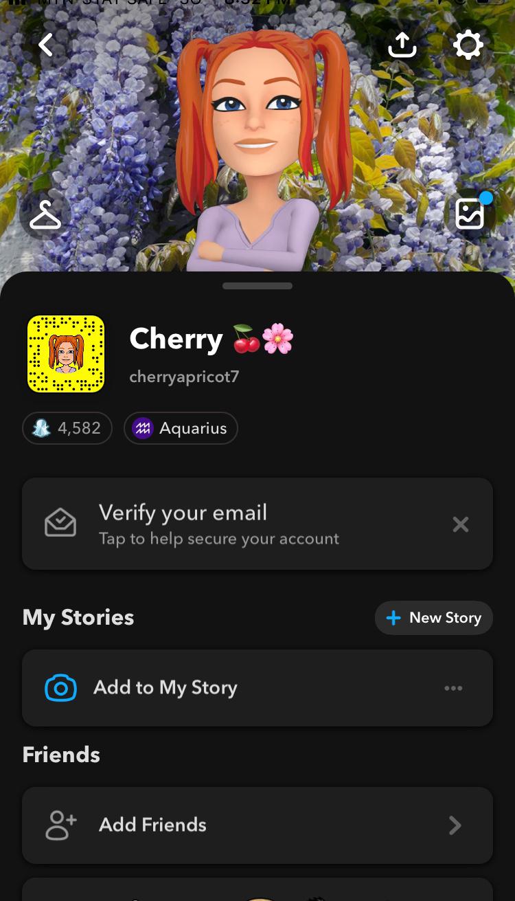 ADD UP SNAP FOR EROTIC FUN cherryapricot7 
