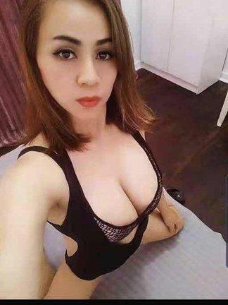 0491-851-711 photos
