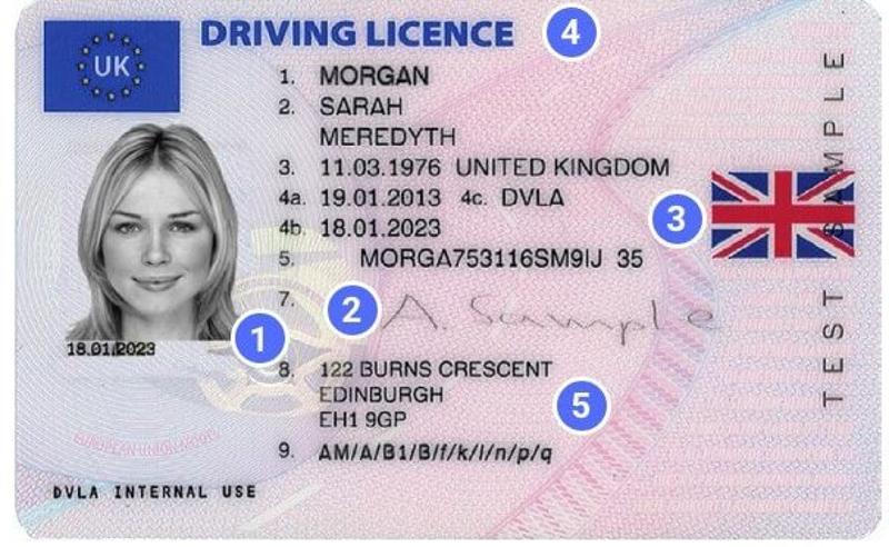 Buy Drivers License Online