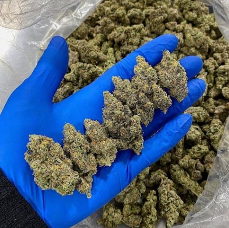 Medical Marijuana Strains Hybrids, Sativa, Indica
