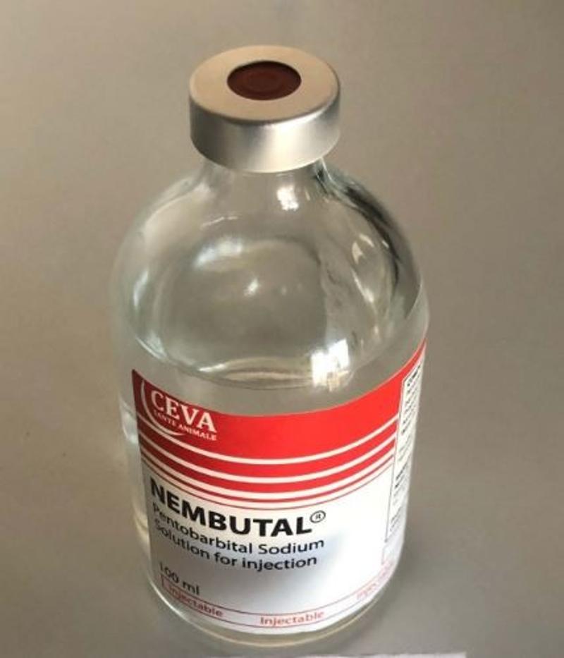 Buy Nembutal Pentobarbital online