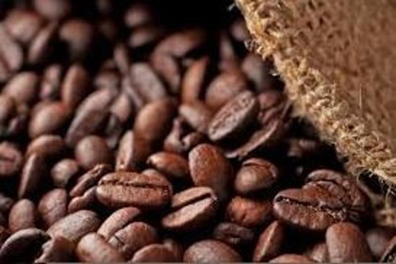 Buy Seeds, Pulse,Chickpeas, Cocoa beans, Kidney Beans, Coffe Beans