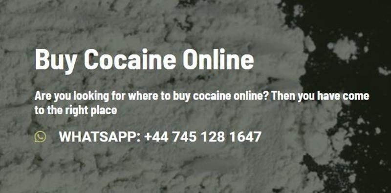 Are You Looking for Where to Buy Cocaine Online?
