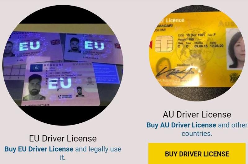 OBTAIN YOUR OWN REAL ID OR DRIVER'S LICENSE