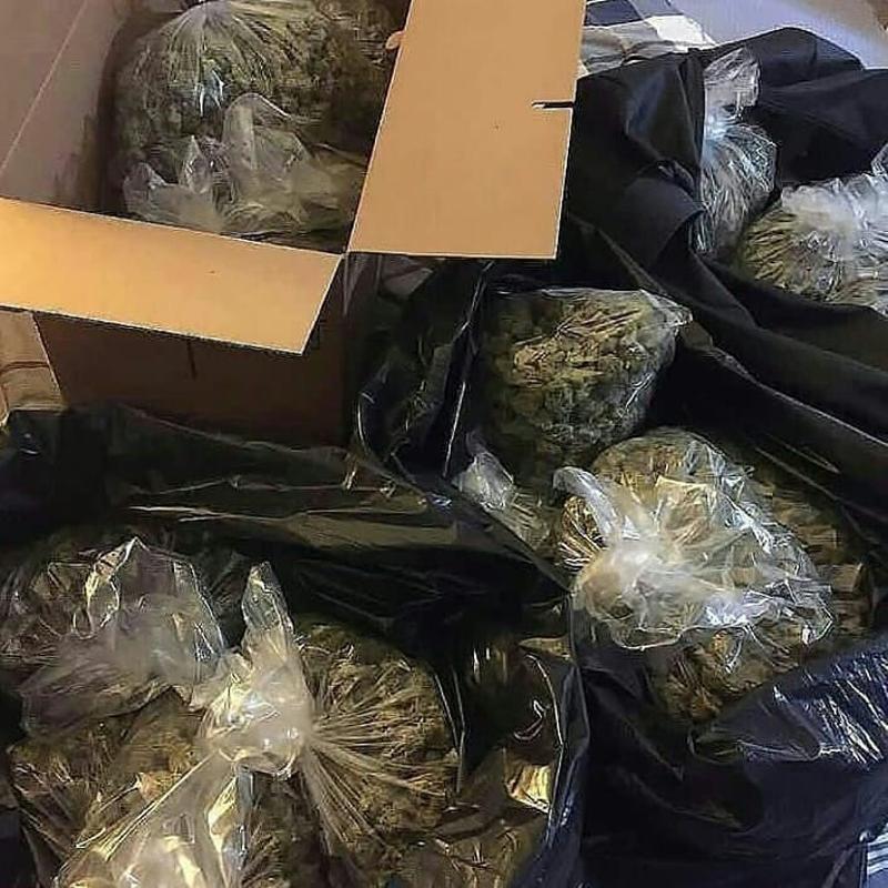 Medical Marijuana for sale online at caliweedshop.us