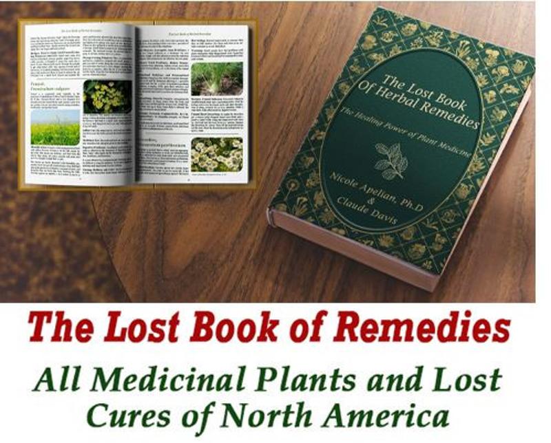 Discover The Newest The Lost Book of Remedies Weight Loss Product For 2020