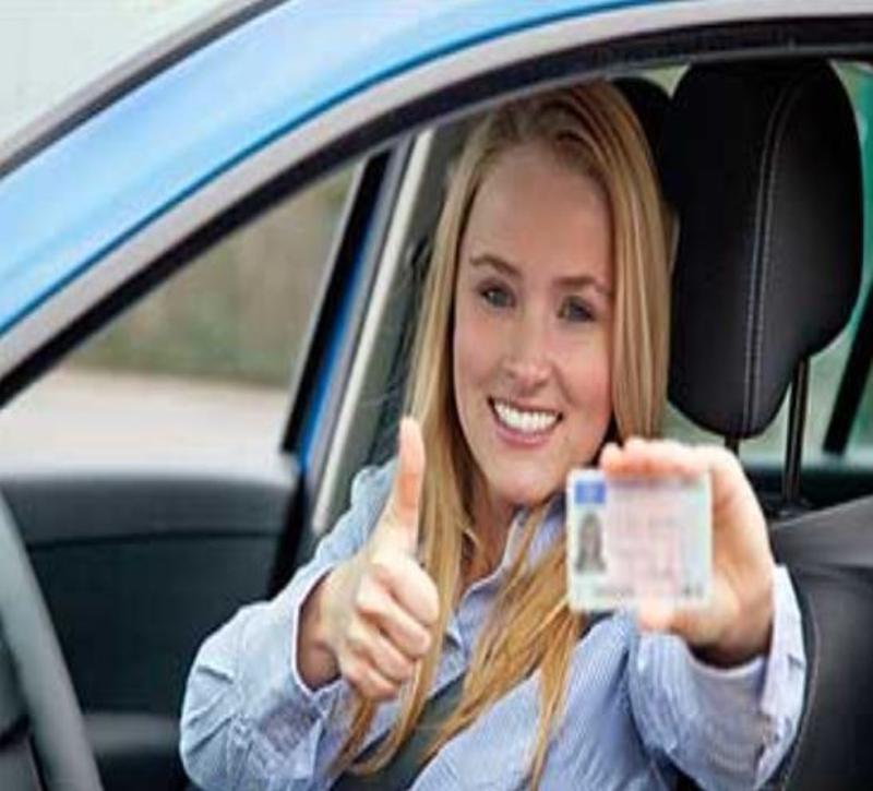 Purchase Drivers License Online
