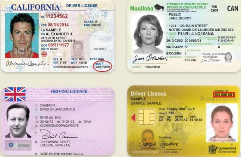 Buy Genuine New Drivers License