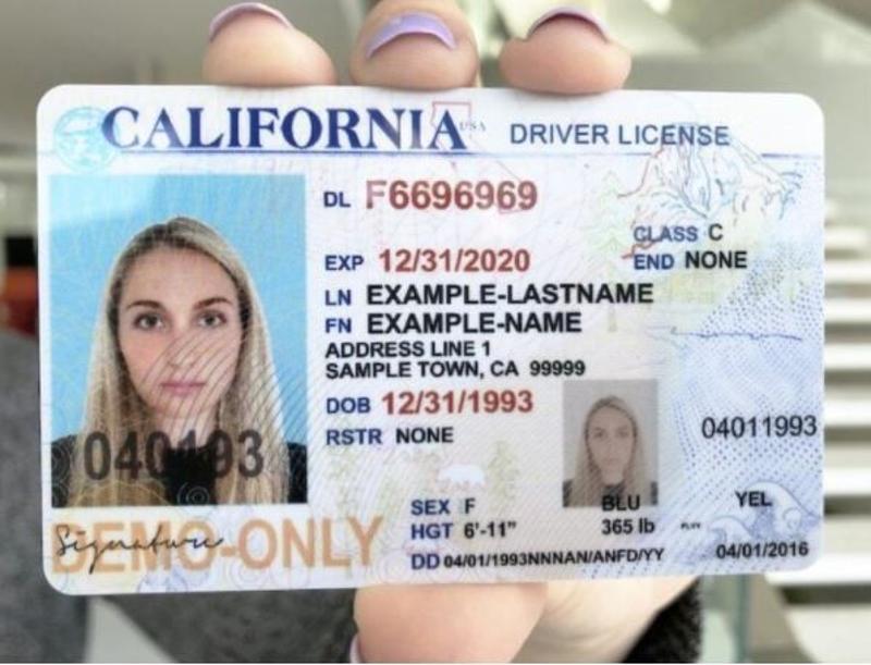 Buy Drivers License Online
