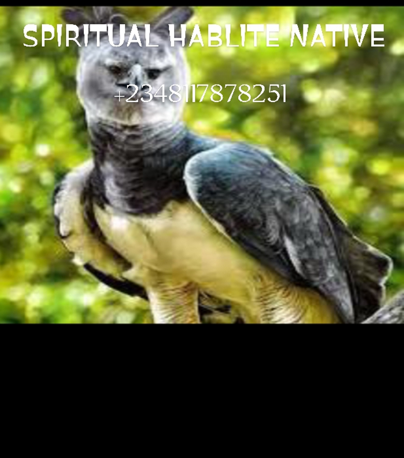 The best powerful spiritual herbalist native doctor in Nigeria+2348117878251
