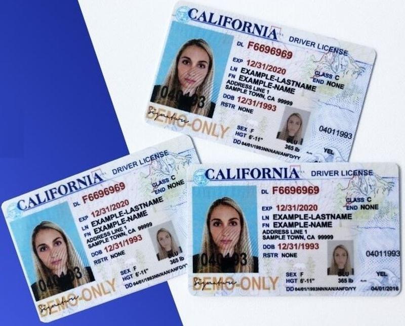 Best Place to Find REAL DRIVER LICENSE