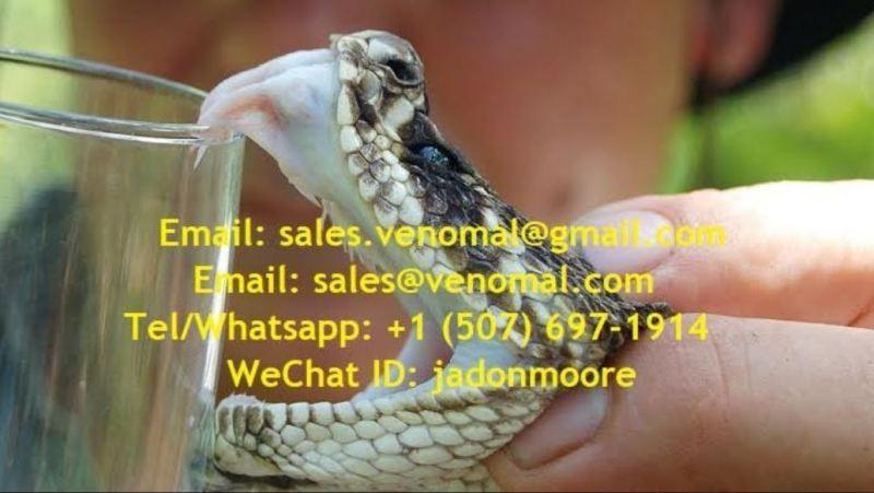 Buy Snake Venom Online