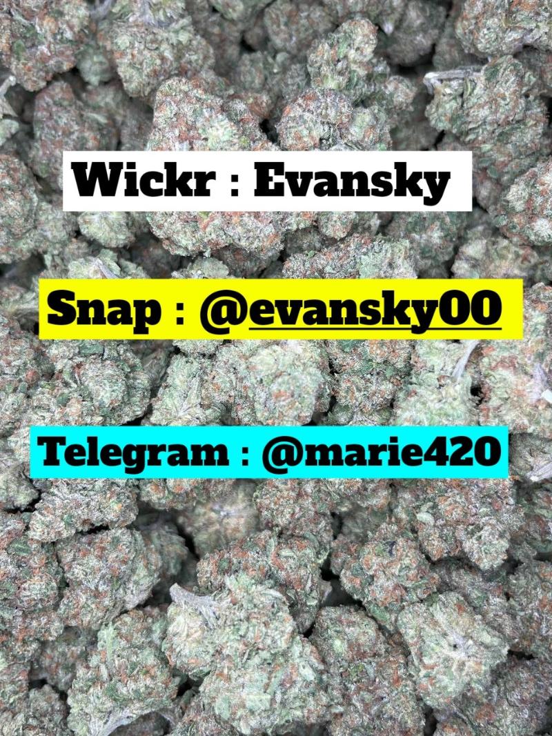 Wickr : Evansky Telegram : marie420 snap : EVANSKY00 pure ghb, acid Brisbane Wic