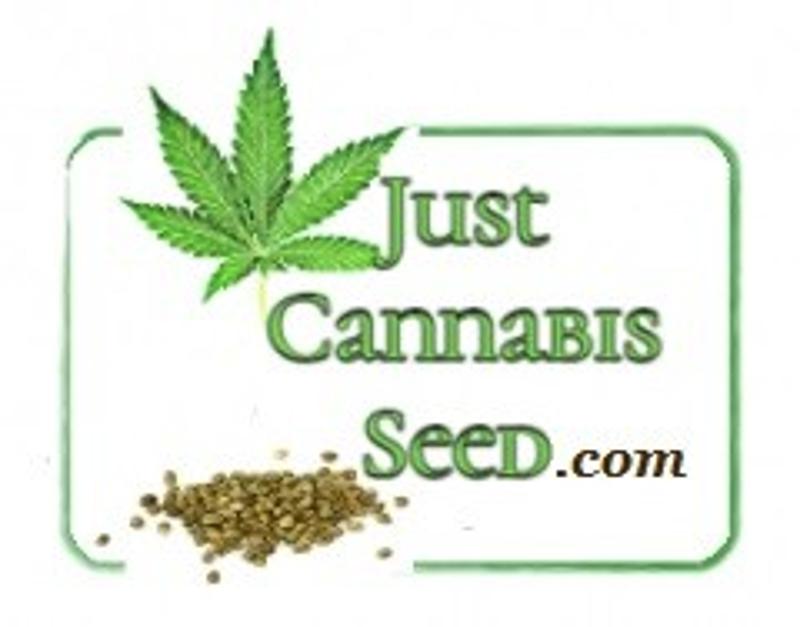 20 Free Pot seeds JustCannabisSeed-com